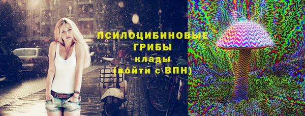 Альфа ПВП Белокуриха