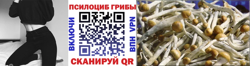 Псилоцибиновые грибы ЛСД  мега tor  Нерюнгри 