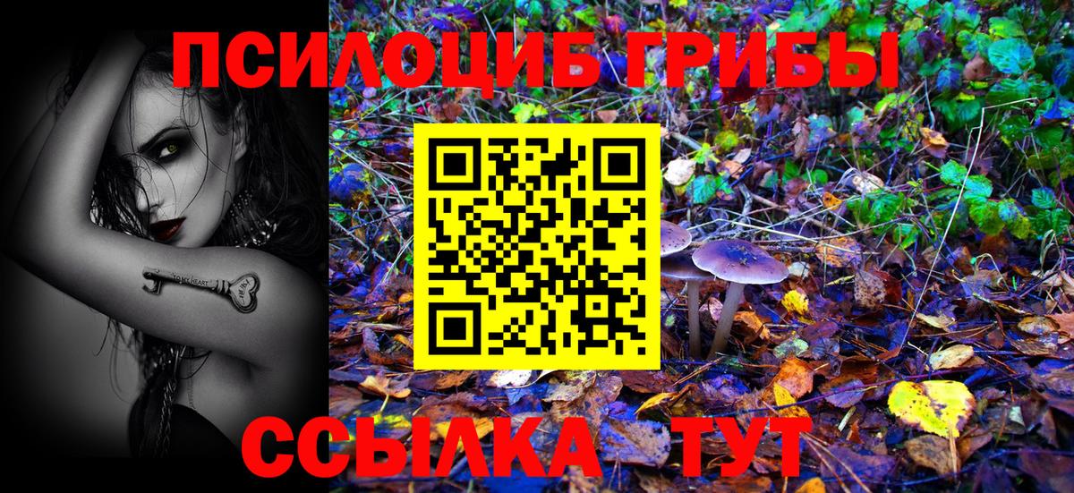 Псилоцибиновые грибы Magic Shrooms  Вход с VPN  Нерюнгри 
